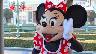 開園前グリーティング（2014年12月21日 TDL）