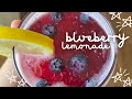 Blueberry Lemonade Recipe | How To Make Blueberry Lemonade | Paola Santana