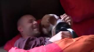 Beagle seeing owner after three months