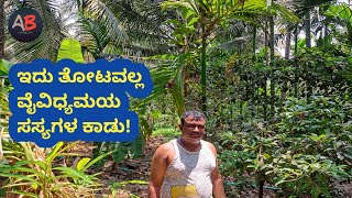 ಒಂದು ಎಕ್ಕರೆ ತೋಟದಲ್ಲಿ ಬಗೆ ಬಗೆಯ ಸಸ್ಯ ರಾಶಿ! | apple plant |pineapple plant |