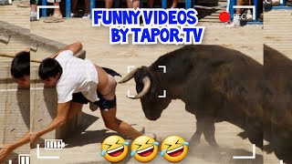 Best Funny Videos Compilation 🤣 Pranks - Amazing Stunts - By Tapor TV 🍿 No_35