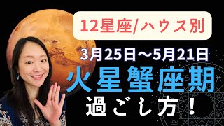 2023年3月25日火星蟹座入り！2ヶ月間どうすごす？12星座/ハウス別アドバイス