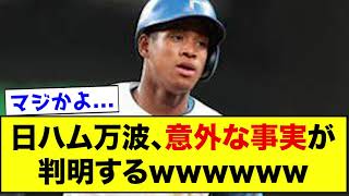 【意外】日ハム万波、意外な事実が判明するwwww【なんJ反応集】