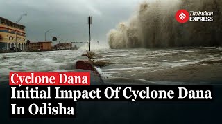 Cyclone Dana: Initial Impact Of Cyclone Dana In Odisha: Trees Uprooted, Roads Blocked Says Fire Dept