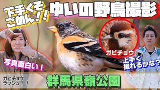 野鳥の写真が撮りたいねん！！素人カメラマンゆいの野鳥撮影！