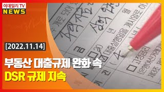 부동산 대출규제 완화 속 DSR 규제 지속 (20221114)