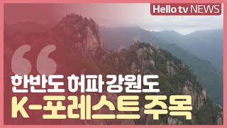 ′K-포레스트′ 강원도에서 시작