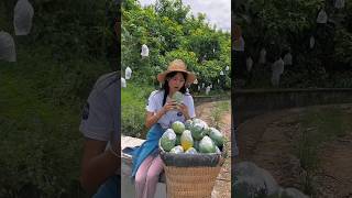 Some trendy and innovative fruits 🍎🍌🍓🥭🍉🍊#shorts #nature #fruit