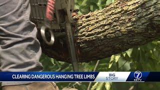 Clearing dangerous hanging tree limbs