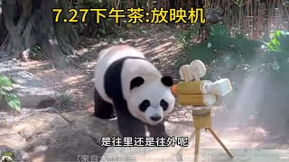 熊猫酷酷下午茶是放映机！据说大师暂时没有创作瓶颈。真的什么都能做，绝了。今天下午茶主题是竹子竹笋胡萝卜做的放映机，好吃又好玩。国宝熊猫每天下午茶都仪式感满满