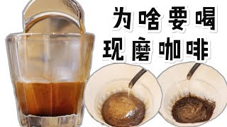 2分钟美味咖啡 | 我要喝手磨咖啡，新鲜的！why should you grind your coffee freshly?