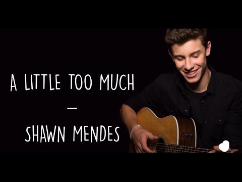 A Little Too Much - Shawn Mendes (Lyrics) - YouTube