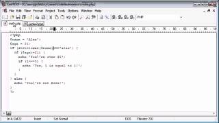 Beginner PHP Tutorial 8 Indentation YouTube