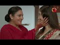 বিনোদনের খবর entertainment 24 ep 795 14 november 2024 channel 24 entertainment