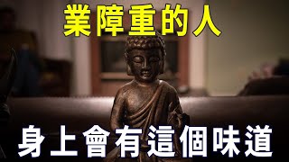 業障深重的人，身上都有這個味道，出家人建議這樣消除！【曉書說】