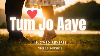 Tum Jo Aaye  Slowed+Reverb  Lofi Song