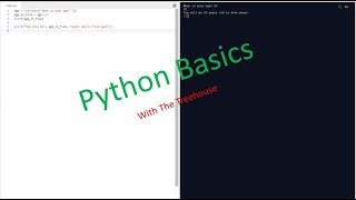 Python Tutorial 1 "Python Basics" || The Treehouse