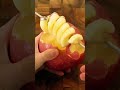 りんごに謎の棒を刺してみたら、とんでもないものが出てきた🍎 shorts りんご apple