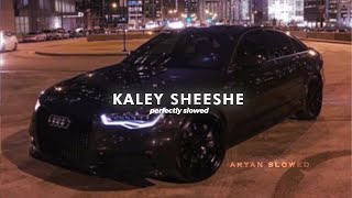 Kaley Sheshe | Perfectly Slowed