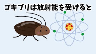 【2】9割が知らない動物の雑学【ゴキブリは放射線を浴びると】