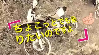 岩手のオフロードバイク好き！　大人の山遊び５６　イノッチと ２人