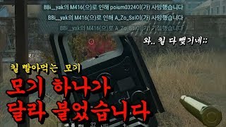 갱지 [배틀그라운드] 킬 뺒아먹는 모기와 듀오