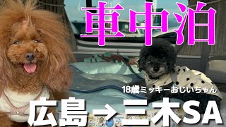 【キャンピングカー 車中泊】18歳みっきーおじいちゃんキャンピングカーで5泊6日の2000kmの旅！ #シニア犬  #ハイエース