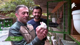 მუსიკოსი ფერმერი და ნოტებივით აწყობილი მეურნეობა - რჩევები წარმატებული მებოცვრისაგან