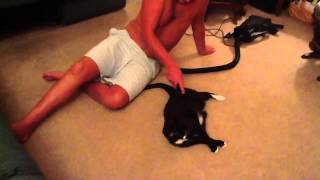 Vacuuming Jingles