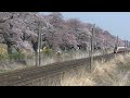 一目千本桜を通過する東北本線の列車たち