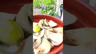 গরমে শান্তি #minivlog #unfrizemyaccount