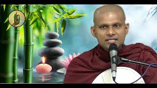 SADAHAM SAWANA||නාමරූප පිළිබඳ විශේෂ දේශනයක් ||Ven  Athurugiriye Subodha Himi