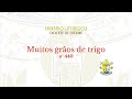 Muitos grãos de trigo (n. 440)