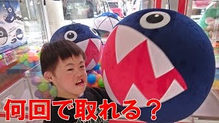 スーパーマリオ　エアぐるみ　ワンワンバージョン　全2種