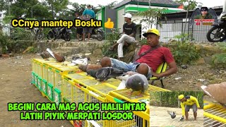 ❤️LIHAT CARA MAS AGUS LATIH BAHAN LOSDOR‼️CALON PRAJURIT PASUKAN TEMPUR NASIONAL