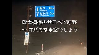 吹雪模様のサロベツ原野を走る〜 オバカな車窓でしょう