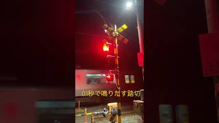 西牟田駅構内  野中踏切にて #踏切 #鉄道 #踏切カンカン