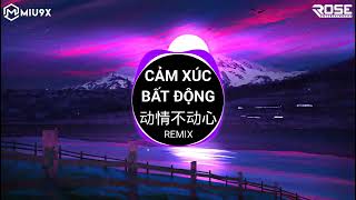 Cảm Xúc Bất Động Remix (DJ阿本) 侯泽润 - 动情不动心 | Hầu Trạch Nhuận || Nhạc Hot TikTok Douyin 2023