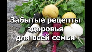 Как репа лечит.  Забытые рецепты здоровья для всей семьи