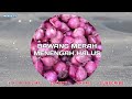 info harga bawang merah dan sayur dari sungai nanam kab.solok alahanpanjang