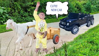 Cutis Farmer Takes Goat Harvest Fruit Sell & Buy Car Full Version Journey Of Trouble