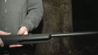 Gamo Shadow Express Overview and Shooting Test