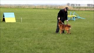 Security Dog Training - Out and Return To Handler