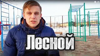 Лесной: на границе города и леса