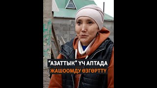 “Азаттык” үч аптада жашоомду өзгөрттү