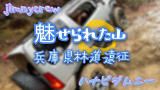 魅せられた山(兵庫県林道遠征)【ハナビジムニー】#ジムニー #クロカン #林道 #兵庫県