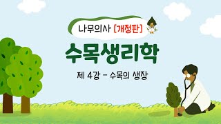 [개정판 나무의사] 수목생리학 - 제4강 수목의 생장