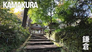 鎌倉 | Early Morning walk along around historical Kamakura