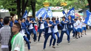 イケ家！！／NHK前ストリート／原宿表参道元氣祭スーパーよさこい2016