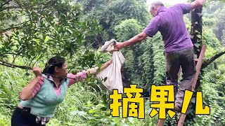 小英子的最愛小萍子偏愛，媽媽今天又弄了倆大袋，要吃的朋友趕快【小英子和小萍子】